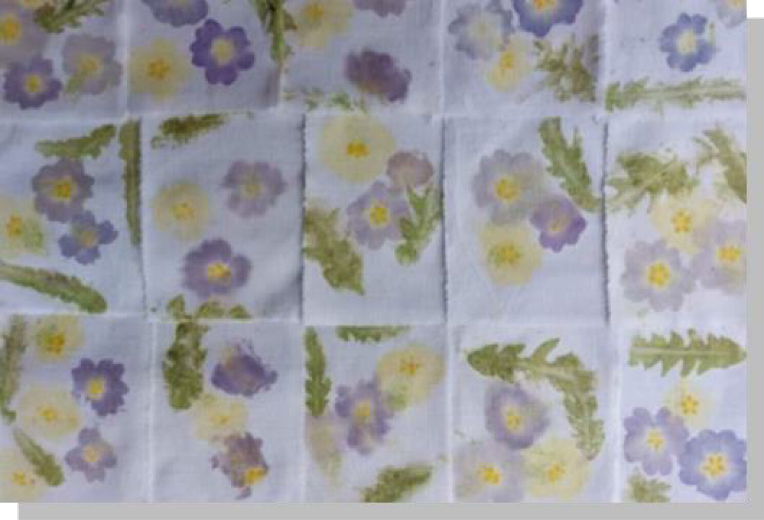 Der Wald und seine Farben